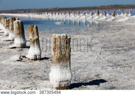 Salt Pink Lake Landscape In Summer Sunny Day Kuyalnik In Odessa, Ukraine. Saline With Vivid Colors A