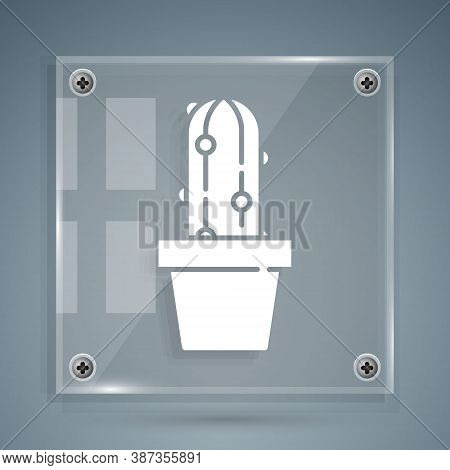 White Cactus Peyote In Pot Icon Isolated On Grey Background. Plant Growing In A Pot. Potted Plant Si