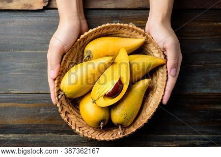Eggfruit Or Canistel In A Basket Holding By Hand On Wooden Table, Thai Fruit, In Thai Names Such As 