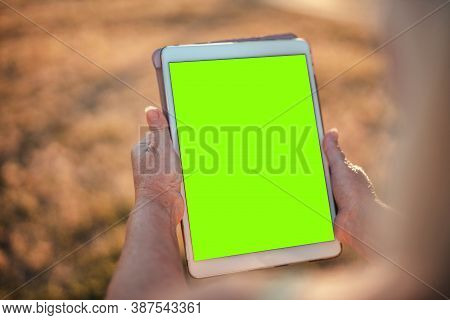 Close Up Of Female Hands Holding Mockup Gadget Tablet With Blank Screen Chroma Key While Sitting In 