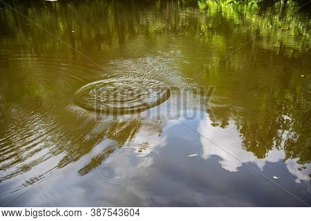 Full Frame Image Of A Forst Pond Reflecting A Big Blue Sky With White Clouds And Woodland Surroundin