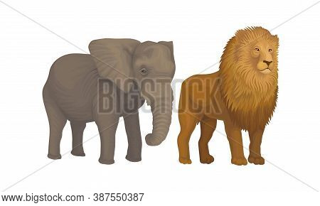 Elephant With Long Trunk And Lion With Mane As African Animal Vector Set