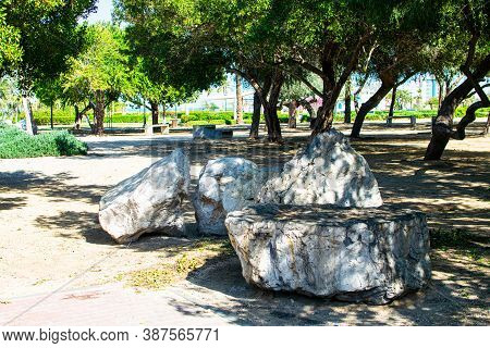 Beautiful Green Trees In A Tropical Park In Dubai. Nature In Al Mamzar