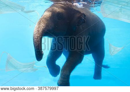 Elephant Swims Among Surgical Masks Under Water. Environment Pollution Of Surgical Masks During The 
