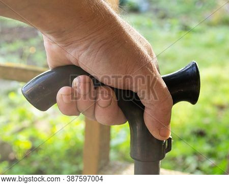 A Black Walking Stick In A Man's Hand,a Brush At Close Range