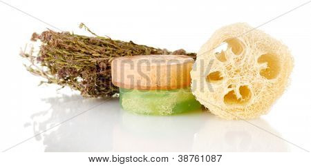 Luffa isolata on white