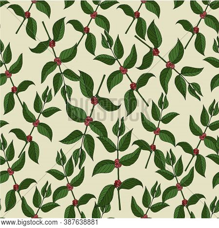 Coffee Fruit Branch Seamless Pattern Flat Design Art Design Element Colorful Stock Vector Illustrati