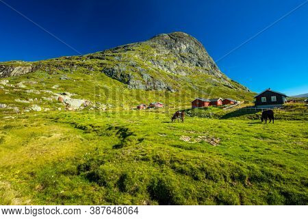 Hiking in amazing Jotunheimen National Park in Norway, Synshorn Mountain