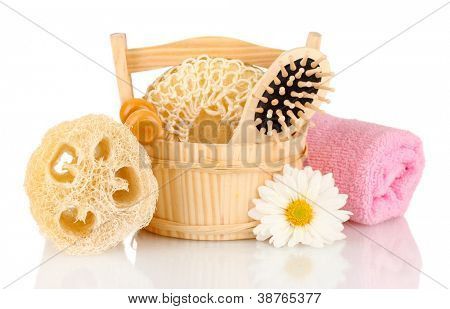 Luffa isolata on white