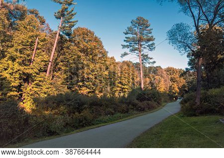 An Asphalt Footpath Along A Park With Autumn Trees With Yellow Foiliage And Green Grass Lawns