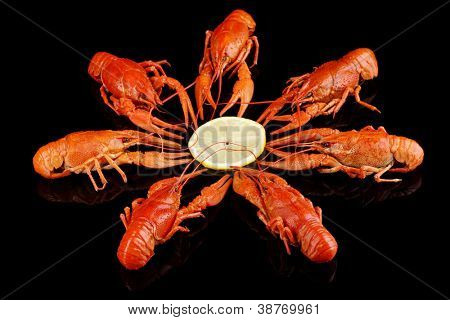 Tasty ต้มแยกต่างหากบนพื้นสีดำ crayfishes