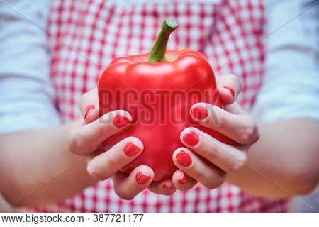 Red Bell Pepper In Female Hands, Close-up. A Woman In A Plaid Apron Holds A Ripe Vegetable For Cooki