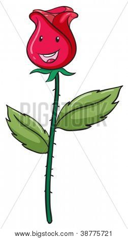 detailed illustration of a pink bud and plant on white