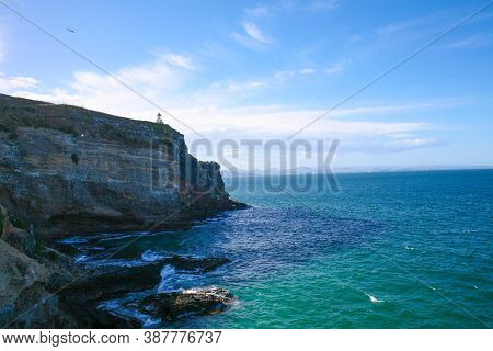 Taiaroa Head Is A Headland At The End Of The Otago Peninsula In New Zealand, Overlooking The Mouth O