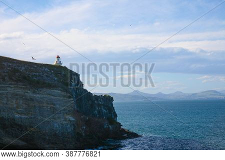 Taiaroa Head Is A Headland At The End Of The Otago Peninsula In New Zealand, Overlooking The Mouth O