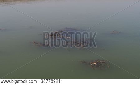 Murky Lake Water Dirty, Dirty Turbid Water Caused By Drought,