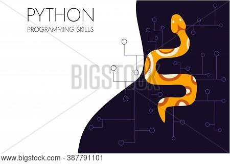 Python Code Language Sign. Programming Coding And Developing Concept. Software Development. Programm