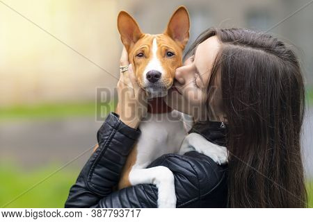 Young Pretty Woman Is Hugging, Holding On Hands And Kissing Her Basenji Pedigree Dog At Sunny Day