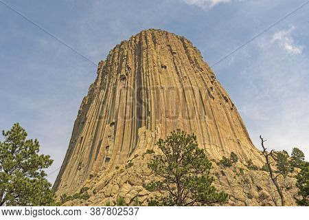 Volcanic Butte Pushing Skyward At Devils Tower National Monument In Wyoming