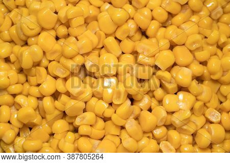 Close Up Of Canned Bio Corn Grain Top View. Closeup Of Lots Of Cooked Corn Kernels