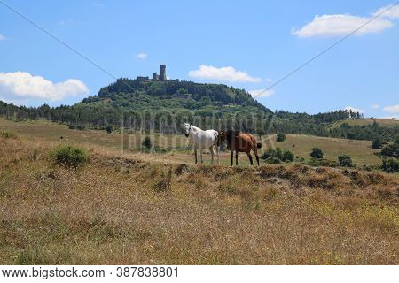 Horses Grazing On The Hills Around The Small Town Of Radicofani In Tuscany. High Quality Photo