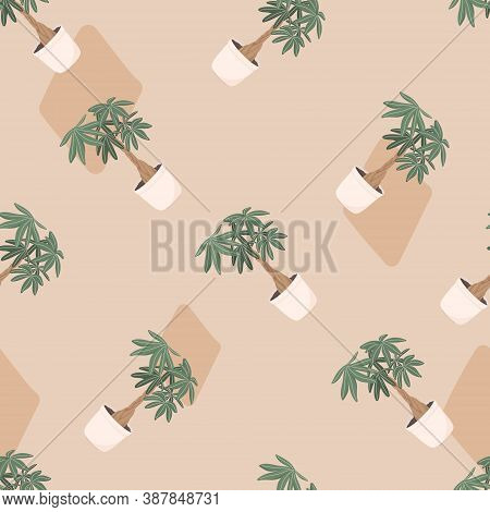 Vector Trendy Illustration Seamless Pattern Of Home Plant In A Pot. Money Bonsai Or Pachira Aquatica
