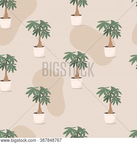 Vector Trendy Illustration Seamless Pattern Of Home Plant In A Pot. Money Bonsai Or Pachira Aquatica