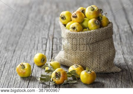 Fresh Ripe Yellow/red Hawthorn Fruits In Burlap Sack On Rustic Background. Crataegus Monogyna Berrie