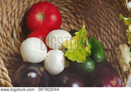 Mushrooms Champignons, Fresh Vegetables Cucumbers, Tomatoes, Eggplants And Autumn Oak Leaf In A Natu