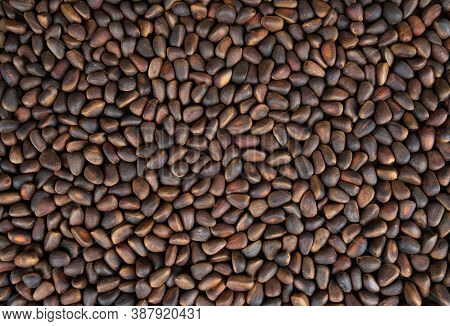 Three-dimensional Background Of Brown Pine Nuts. The Photo At The Top.