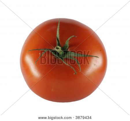 Ripe Tomato