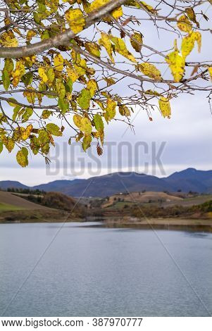 Autumn Colors Of A Tree Near A Mountain Lake