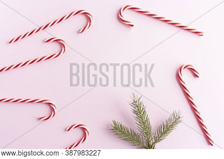 Christmas Composition. Christmas Candy Canes And Fir Branches Flat Lay, Top View On Pastel Pink Back