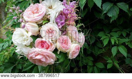Postcard Design Template With Bunch Of English Roses And Space For Text. Romantic Bouquet With Delic