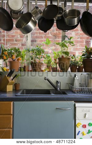 Casseroles suspendus au-dessus de l'évier contre les plantes en pots sur le rebord de la fenêtre dans la cuisine domestique