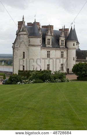 Amboise castle .Valley of the river Loire. France