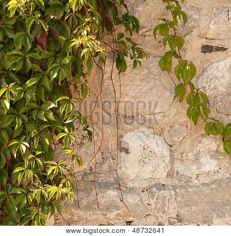 alte Steinmauer Hintergrund