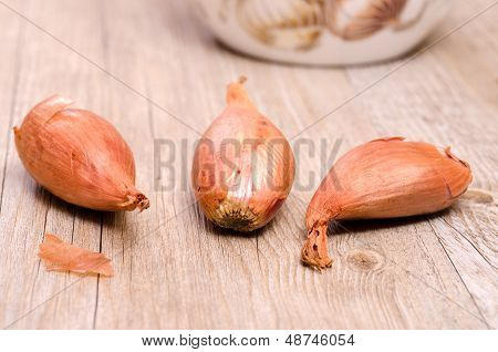 Lähikuva Scallions