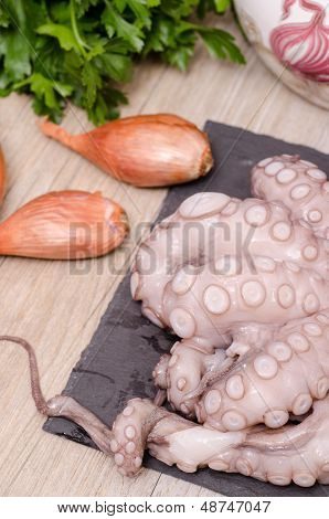 RAW Octopus pystysuora muodossa