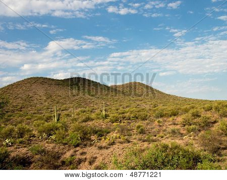 Desert Landscape