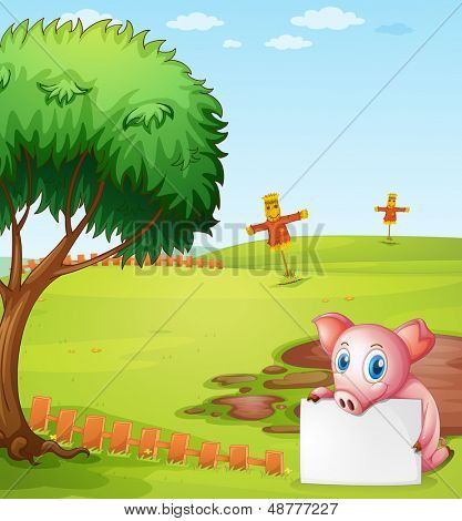Ilustrace prasete drží prázdná deska na farmě