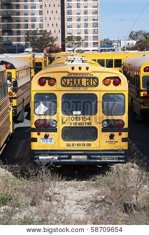 A New York City School Buses.