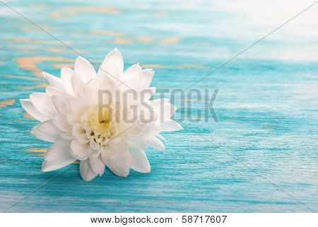 Background With Blossom