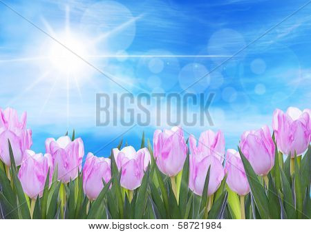Background With Flowers