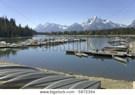 콜터 베이