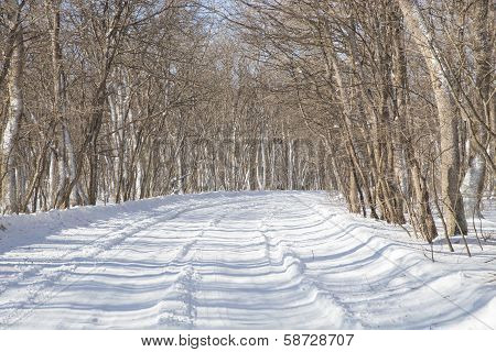 Winter Road
