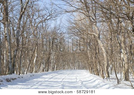 Winter Road