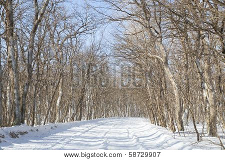 Winter Road