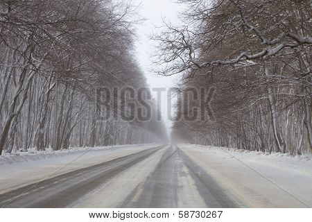 Winter Road