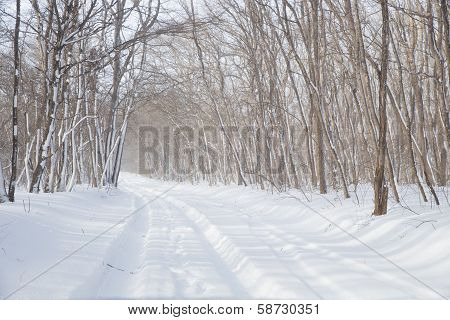 Winter Road